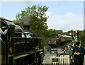 TQ4023 : Trains crossing at Sheffield Park station, Bluebell Railway by Martin Tester