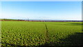 Eddisbury Way running NE from Waterloo Lane (Birchdale Farm)