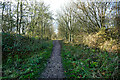 Hart to Haswell Walkway towards Hesleden