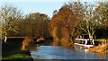 Trent & Mersey Canal near Taft Farm, Bishton