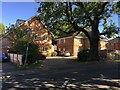 Houses on Chapel Lane