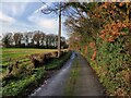 SO7870 : Jennings Wood Lane near Wood Farm by Mat Fascione