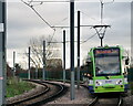 Tramlink