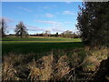 Field west of Haughton Lane