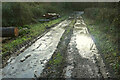 Bridleway, Lower Combe