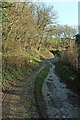 Bridleway, Lower Combe