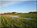 Waterlogged field near Hotchley Hill Farm