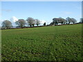 Footpath from Ellick Road to Two Trees