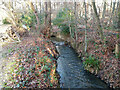 Stream from Tilgate Lake