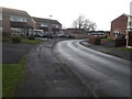 Houses on the corner of Brimstree Drive