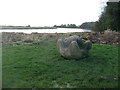 NY3561 : The "Global Warming" sculpture, Rockcliffe by David Purchase
