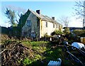 Derelict house at Cypress Farm