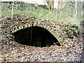 Remains of Throstle Nest, Shepherds Thorn Lane