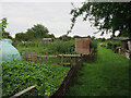 Allotments off Stourbridge Grove