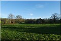 Farmland near Stainburn Close