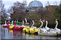 Alexandra Park : boating lake