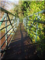 River Goyt Footbridge