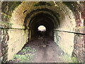 Tunnel under Buxton Road and the Buxton Line at Furness Vale