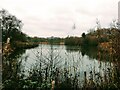 Black Lake, Lindow Common nature reserve, Wilmslow