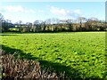 Field, adjacent to Venn Lane