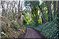 Lane near Inverugie