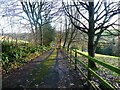 Driveway, above Brimley Mill