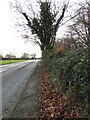 Fallen leaves on the Simonston Road pavement, Bridgend