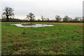 Pond on the path to Blackthorn