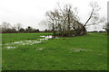 Flooded pond near Fir Tree Farm