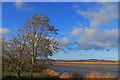 The River Severn at Framilode