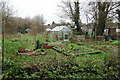 Allotments in Crowmarsh Gifford