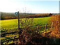 Footpath to Broadwindsor