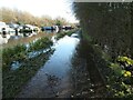 Flooded towpath, Altofts Cut, Aire & Calder Navigation