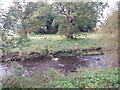 River Avon (Stirlingshire/West Lothain)