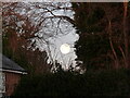 Moonset over house at Piggy