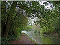 Canal south-west of Brewood in Staffordshire