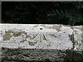 Ordnance Survey Cut Mark with Rivet