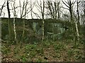 The top of Pool Bank quarries