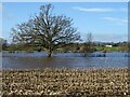 Flooded farmland at Upton