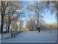 Winter scene in the Dalzell Estate