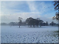 View across field from Booths Hall grounds