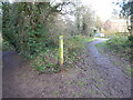 Part of the Rea Brook Walk route in Shrewsbury