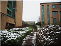 Path up to Cheadle Royal Business Park from High Grove woods, Cheadle