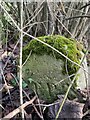 Old Boundary Marker on the roadside between Upton and Vernham Dean