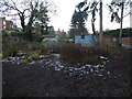 Gardens behind New Street, Shrewsbury