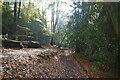 Footpath, Hurst Wood