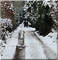 Sandy Lane towards the A442 Bridgnorth Road