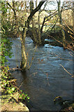 SX8178 : River Bovey, Mill Marsh Park by Derek Harper