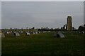 TM5281 : Covehithe: St Andrew's church, seen over a field of pigs by Christopher Hilton