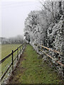 Footpath from Whiteflood towards Baybridge